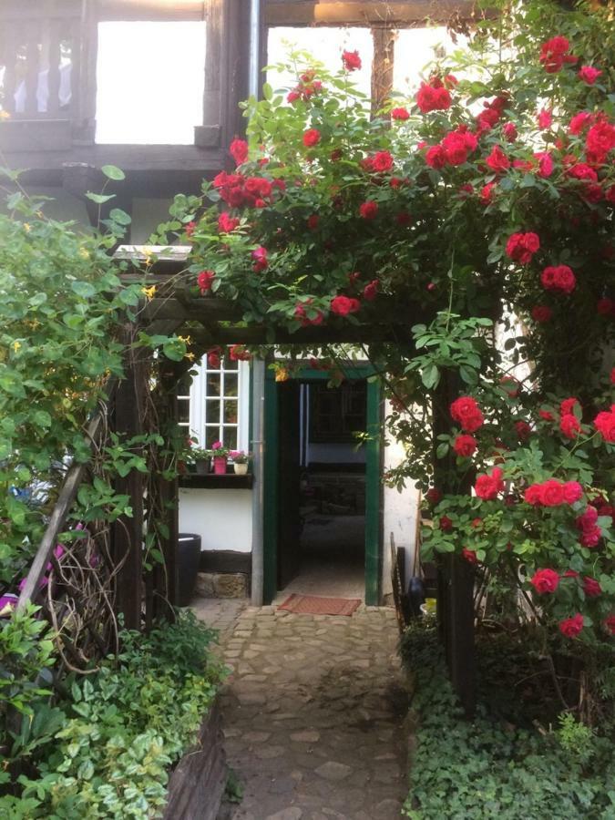 Apartment 1 Am Damm Quedlinburg Dış mekan fotoğraf
